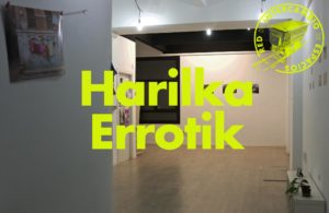 Harilka - Errotik